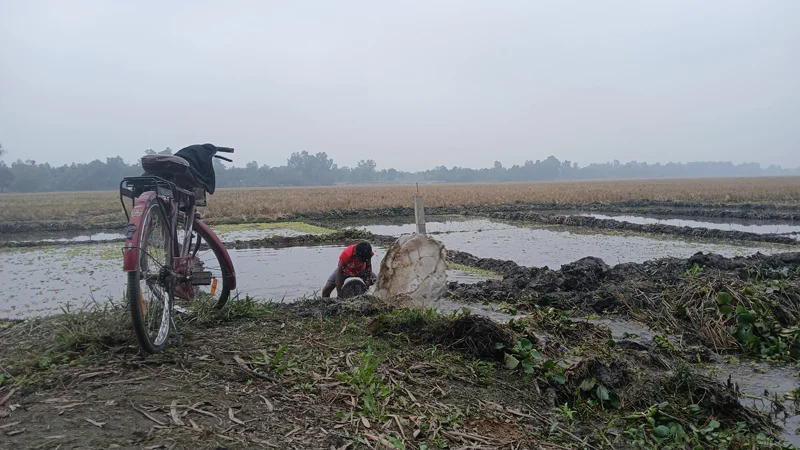উত্তরের জনপদে তীব্র শীত, তেঁতুলিয়ায় সর্বনিম্ন তাপমাত্রা