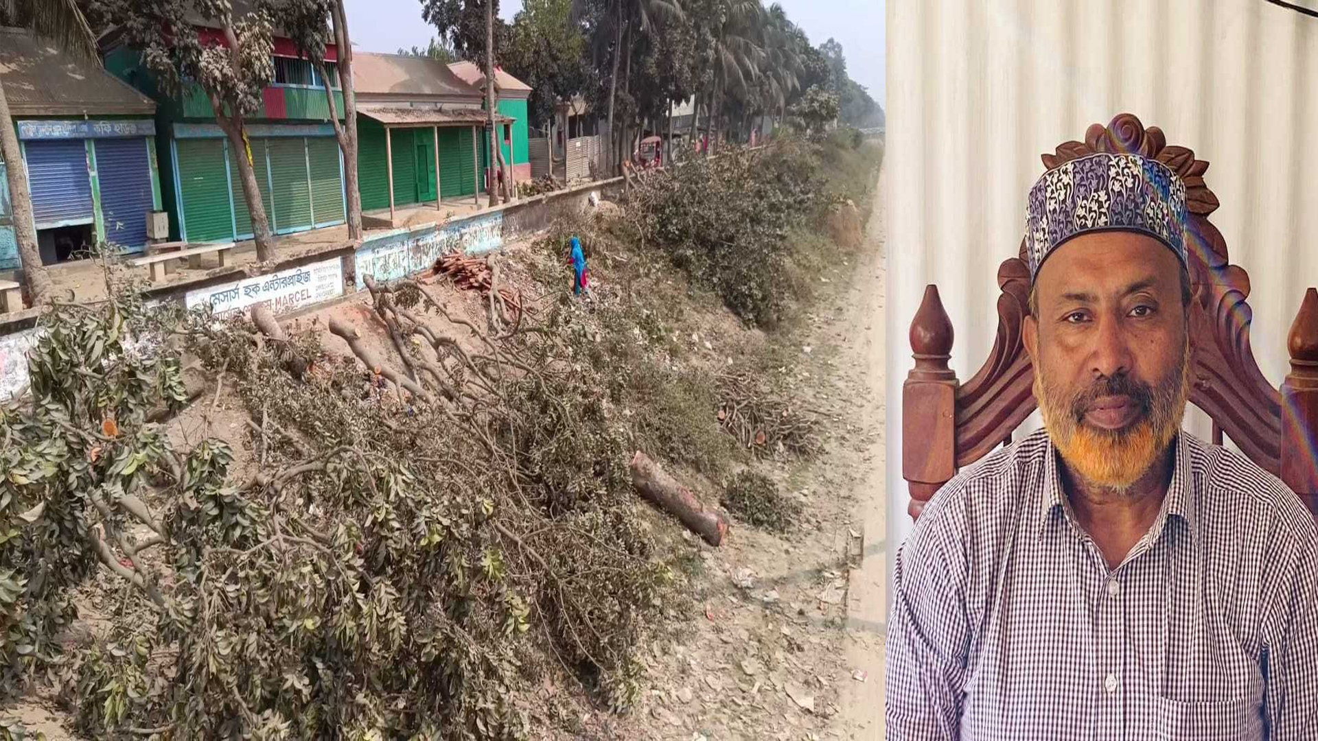 সরকারি গাছ কাটায় পদ স্থগিত বিএনপি নেতা গ্রেফতার